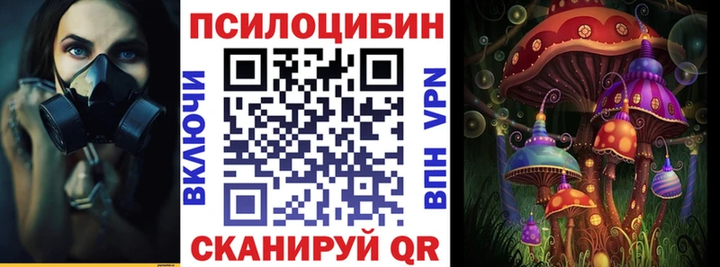 Галлюциногенные грибы мицелий где купить наркотик Полярный